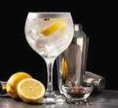 GIN TONIC